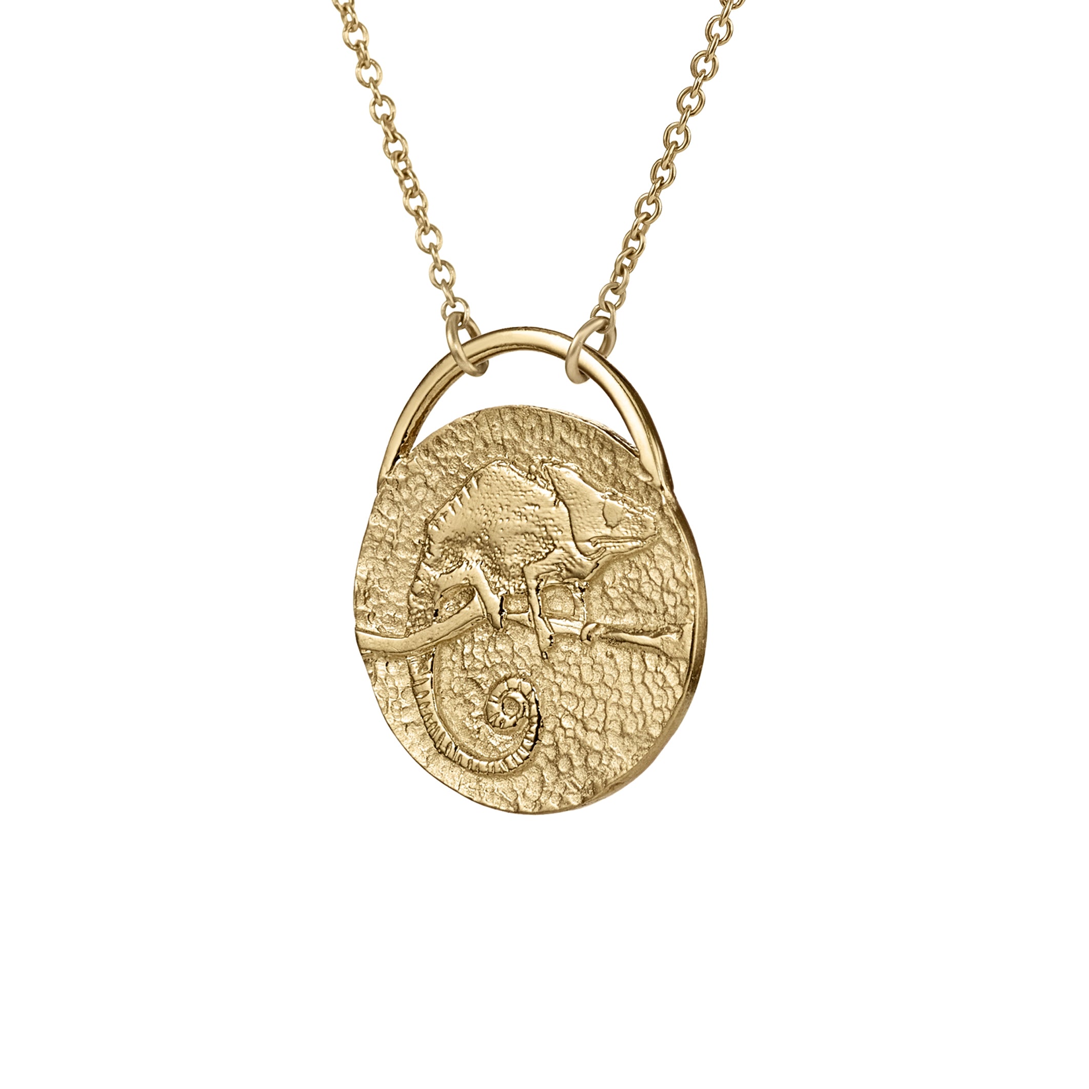 Chameleon-Coin-Pendant-Necklace-in-14K-Gold-Packshot