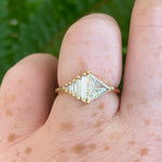 Custom Order for Liam