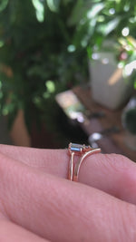 Custom Order for Danielle F