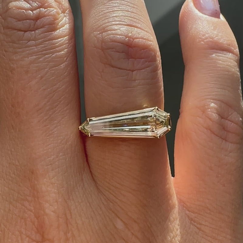 Elongated-Shield-Cut-Diamond-Solitaire-Ring-with-PaveDetailing-Detail-VIDEO