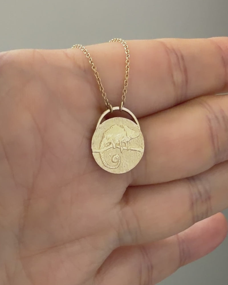 Chameleon-Coin-Pendant-Necklace-in-14K-Gold-video