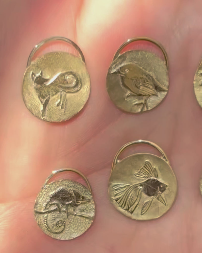 Dragonfly-Coin-Pendant-Necklace-in-14K-Gold-Video-Animals 