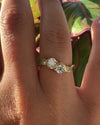 Oceania-Brilliant-Diamond-_-Gold-Ring-VIDEO