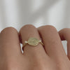 Dog-and-Snake-Ring-Gold-Signet-Ring-video