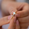    Brilliant-Cut-Engagement-Ring-with-a-Pave-Diamond-Halo-top-shot