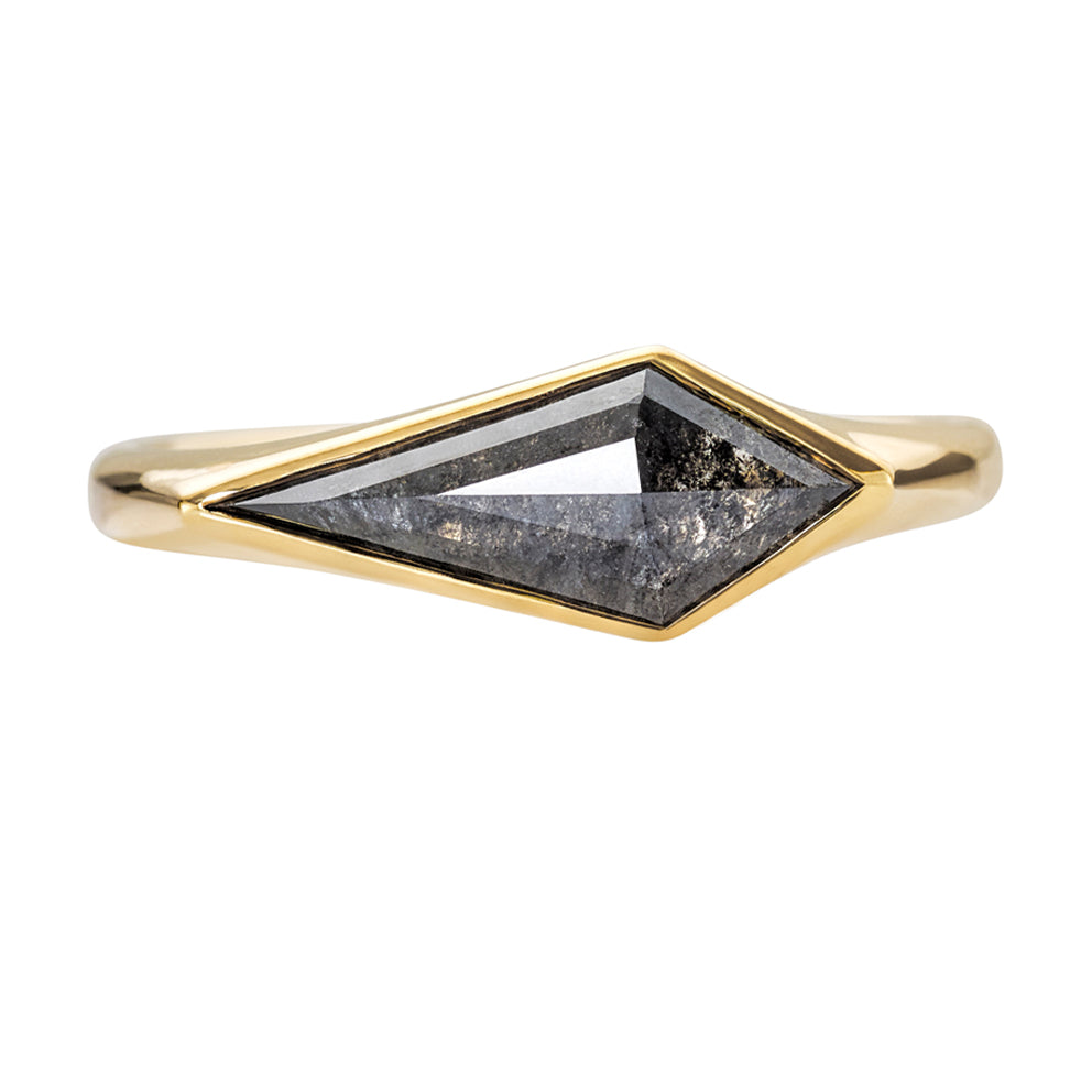 Kite Diamond Ring with a OOAK Salt and Pepper Diamond – ARTEMER