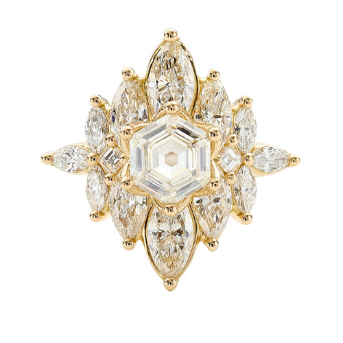Mirrored-Marquise-Cluster-Engagement-Ring-with-a-1ct-Hexagon-Diamond-Centerpiece-CLOSEUP