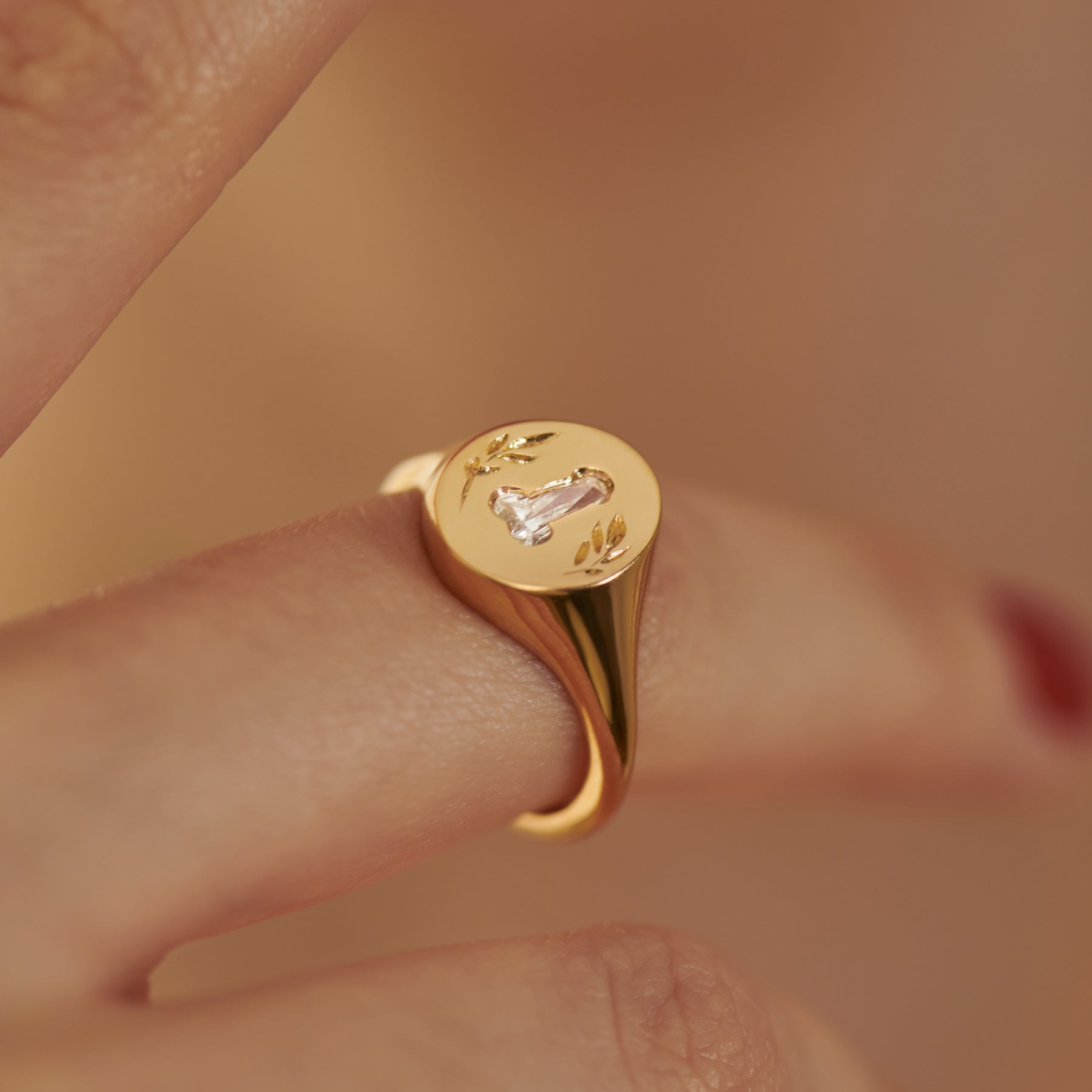 Engraved Ring Personalized Ring Signet Ring Women Ring Men 