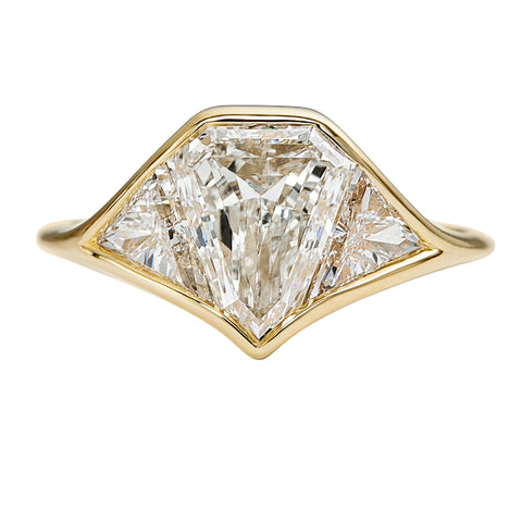 Shield Cut Salt and Pepper Diamond Ring – mossNstone