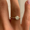 Brilliant-Cut-Engagement-Ring-with-a-Pave-Diamond-Halo-VIDEO